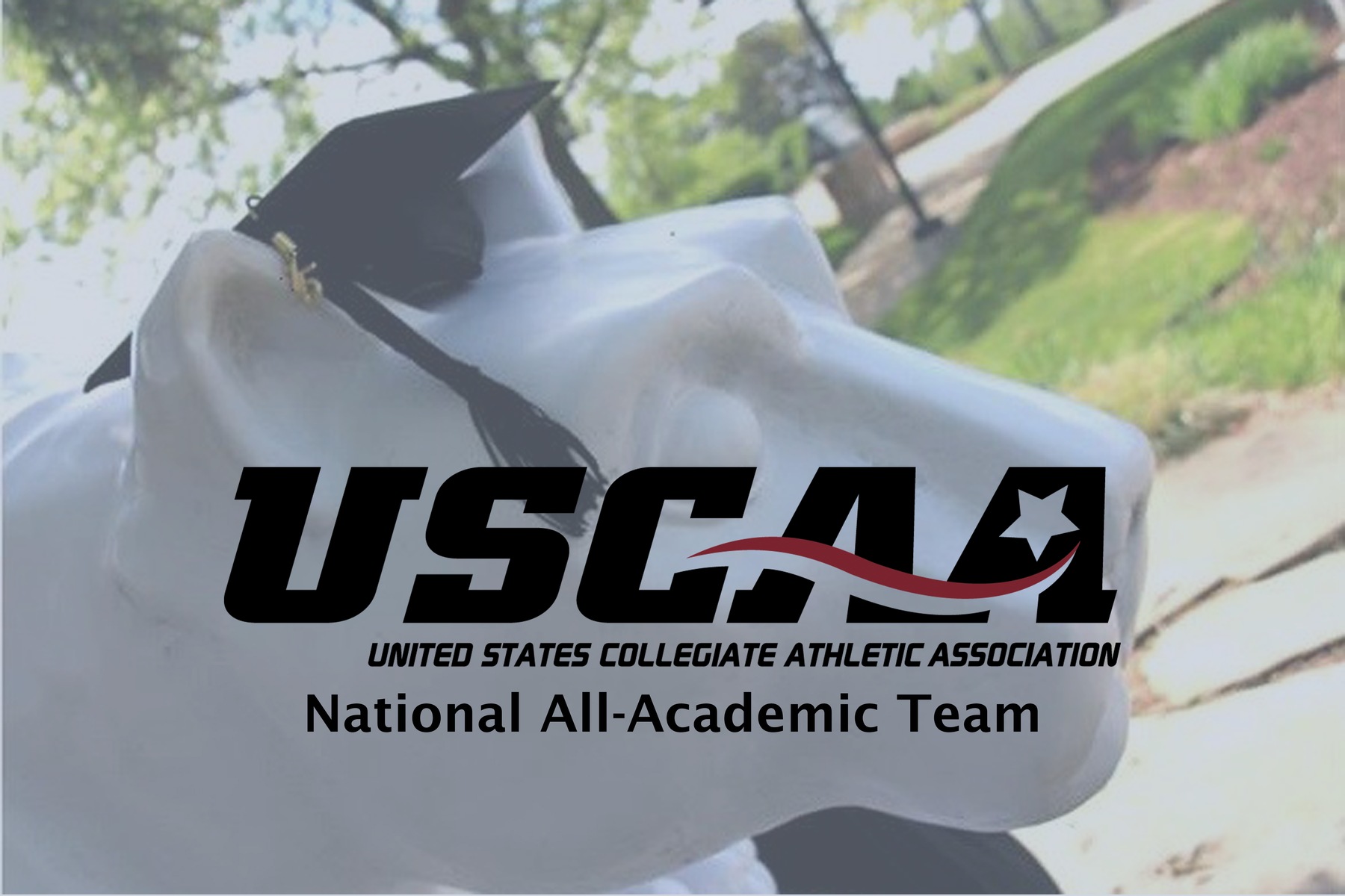 USCAA National All-Academic Team