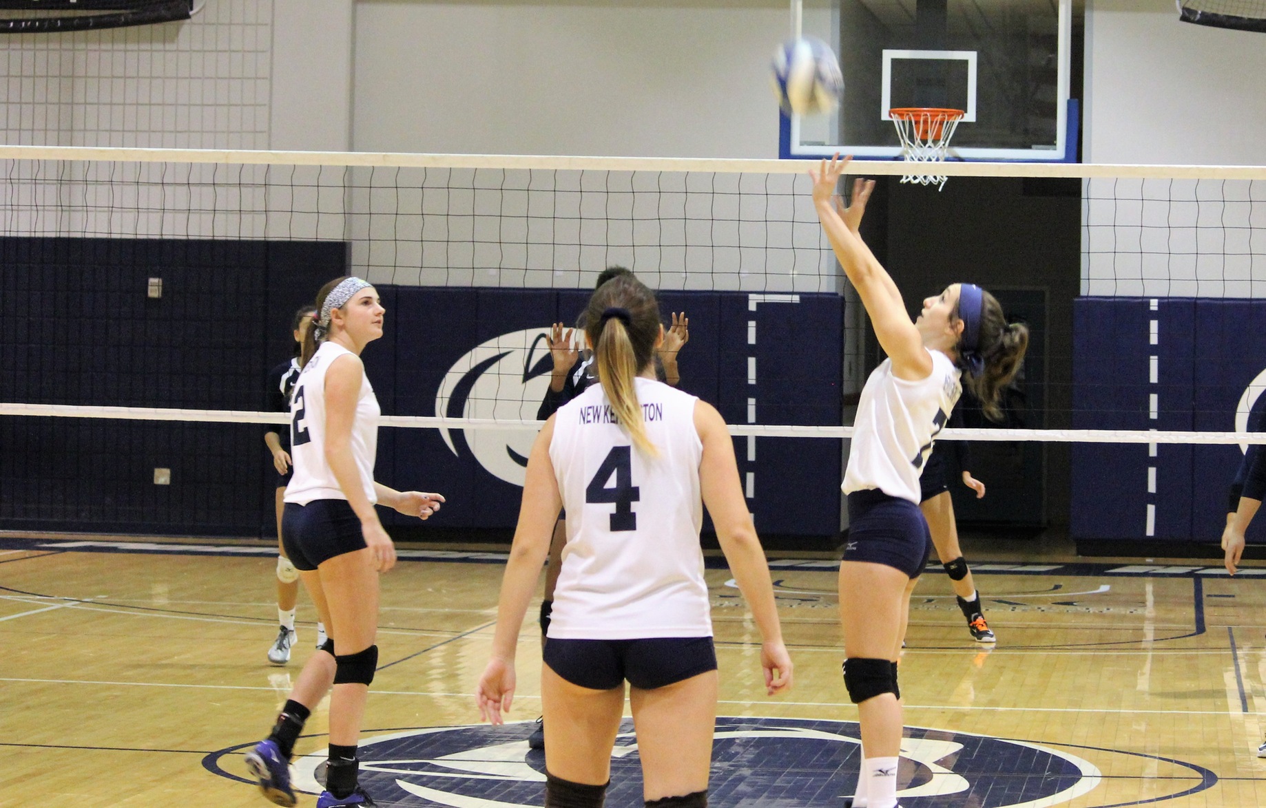Women's Volleyball Drops PSUAC Match to Penn State Beaver