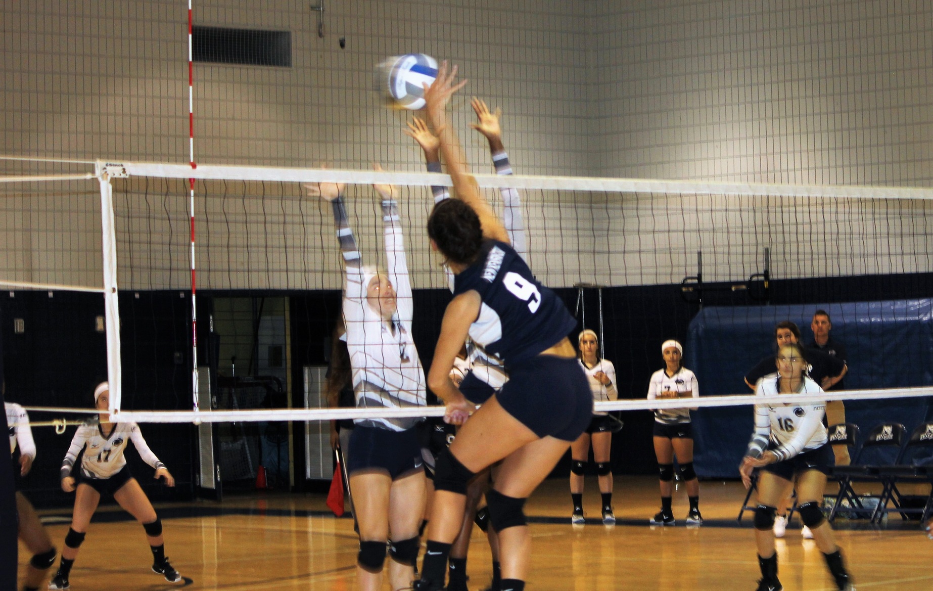 Women's Volleyball Wins Two at Saturday's PSUAC Quad Match